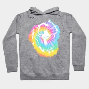 Tye dye golden retriever Hoodie